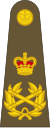 Field Marshal