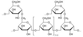 Structuur van glycogeen