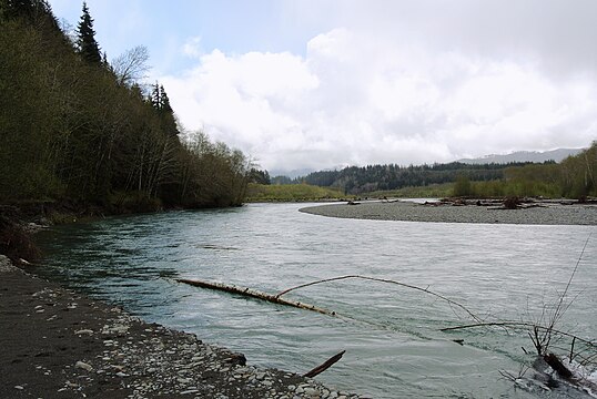 The Hoh River that runs through the forest