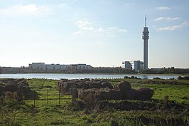 De Veerplas vanuit het oosten, met op de voorgrond de 'vogeloever' en op de achtergrond de KPN-toren