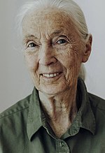 Miniatură pentru Jane Goodall