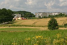 2009-07 Wopławki 3.jpg