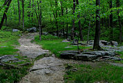 Seven Hills Trail - Harriman State Park