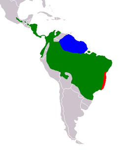 Distribución de Bradypus variegatus, en verde