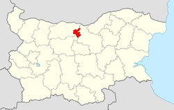 Levski Municipality within Bulgaria and Pleven Province.