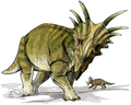 Setirakosauru Styracosaurus albertensis