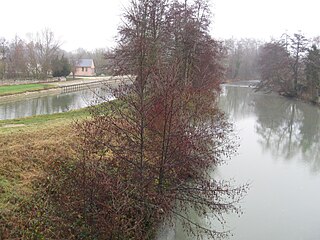 Le Loing à droite, canal de Briare à gauche. En aval du pont de Salles sur la route de Châtillon.