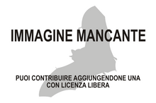 Immagine di Mormopterus doriae mancante