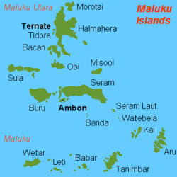 quần đảo Maluku