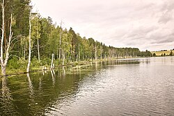 A lake near Tarnogsky Gorodok