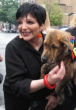 Liza Minnelli vuonna 2006.