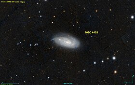 Image illustrative de l’article NGC 4428