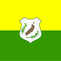 Bandeira de Pereiro