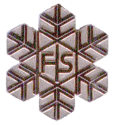 FIS sølvmedalje