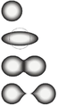 Image 45The stages of binary fission in a liquid drop model. Energy input deforms the nucleus into a fat "cigar" shape, then a "peanut" shape, followed by binary fission as the two lobes exceed the short-range nuclear force attraction distance, and are then pushed apart and away by their electrical charge. In the liquid drop model, the two fission fragments are predicted to be the same size. The nuclear shell model allows for them to differ in size, as usually experimentally observed. (from Nuclear fission)