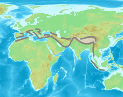 Alpine-Himalayan orogenic belt