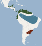 Aire de répartition de Eumops bonariensis