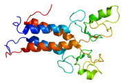 BRCA1, involved in breast cancer