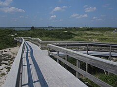 View from boardwalk