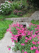 Fontaine lavoir de Peyjouan