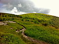 Summit of Black Balsam Knob