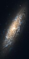 NGC 6503 by Hubble Space Telescope