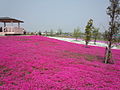 三ツ又池公園