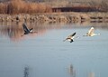 ボスクデルアパシェ国立野生生物保護区にて