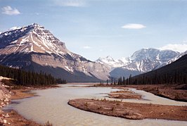 Athabasca rivier in Jasper National Park