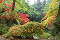 Dendrological Garden, Przelewice