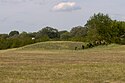 Cheskiki Mound site