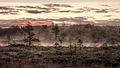 Image 41Bog with October morning mist in Mukri, Estonia (from Bog)