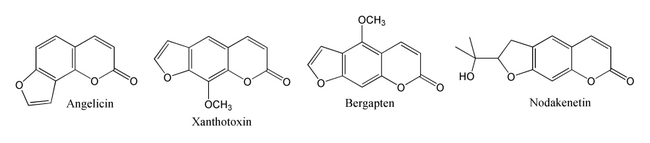 Estructuras de la angelicina, xantotoxina, bergapteno y nodekenetina