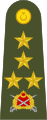 Orgeneral (Türk Kara Kuvvetleri)