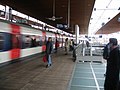 Station La-Plaine - Stade de France