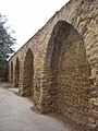 Stadtmauer im Gymnasialgarten