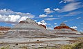 Petrified Forest National Park