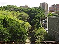 Quebrada de Baruta, estado Miranda - Venezuela.