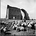 Taq-i Kisra, Baghdad, 1963