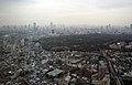 View from the 47th floor of the Park Hyatt Tokyo