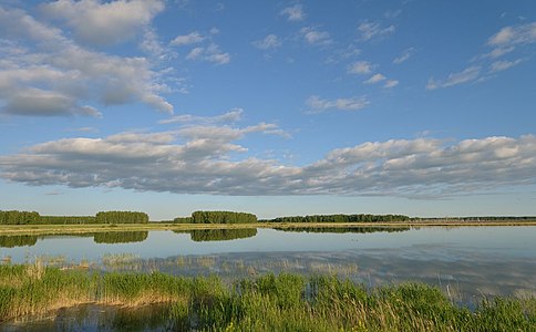 Vådområde i lavningerne på steppen