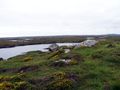 Image 25Blanket bog in Connemara, Ireland (from Bog)