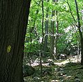 Blaze - Suffern-Bear Mountain Trail