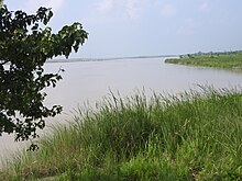 Floodplain of Koshi River.jpg