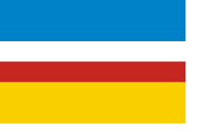 POL Żory flag.svg