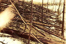 A photograph of a large number of trees lying on the forest floor pointing in the same direction, with a smaller number of upright trees interspersed. Some scorch marks are visible.