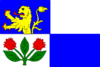 Flag of Bukovina u Čisté