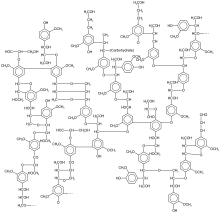 Lignin structure.svg