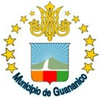 Official seal of Guananico