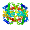 Molecular structure of fetal hemoglobin